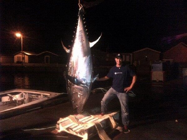 peitunacharters's tweet photo. @williebosshog Hey wille I know Si can call in turkeys, what about one of these #badboys #bluefintuna #PEI #Canada http://t.co/sVdU6r6F