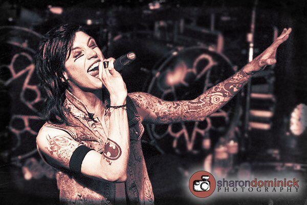 Enlace permanente de imagen incrustada