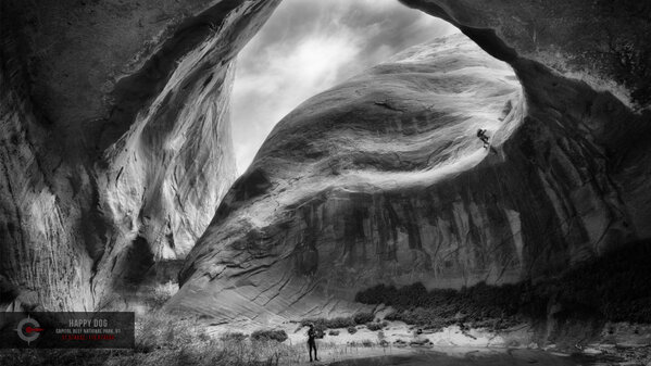 Canyon Collective tweet media