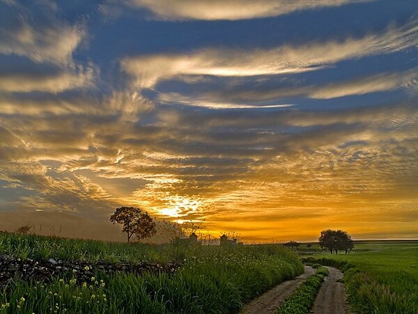 Paisajes_Es's tweet photo. Extremadura, España. http://t.co/rsWFjVwgIi