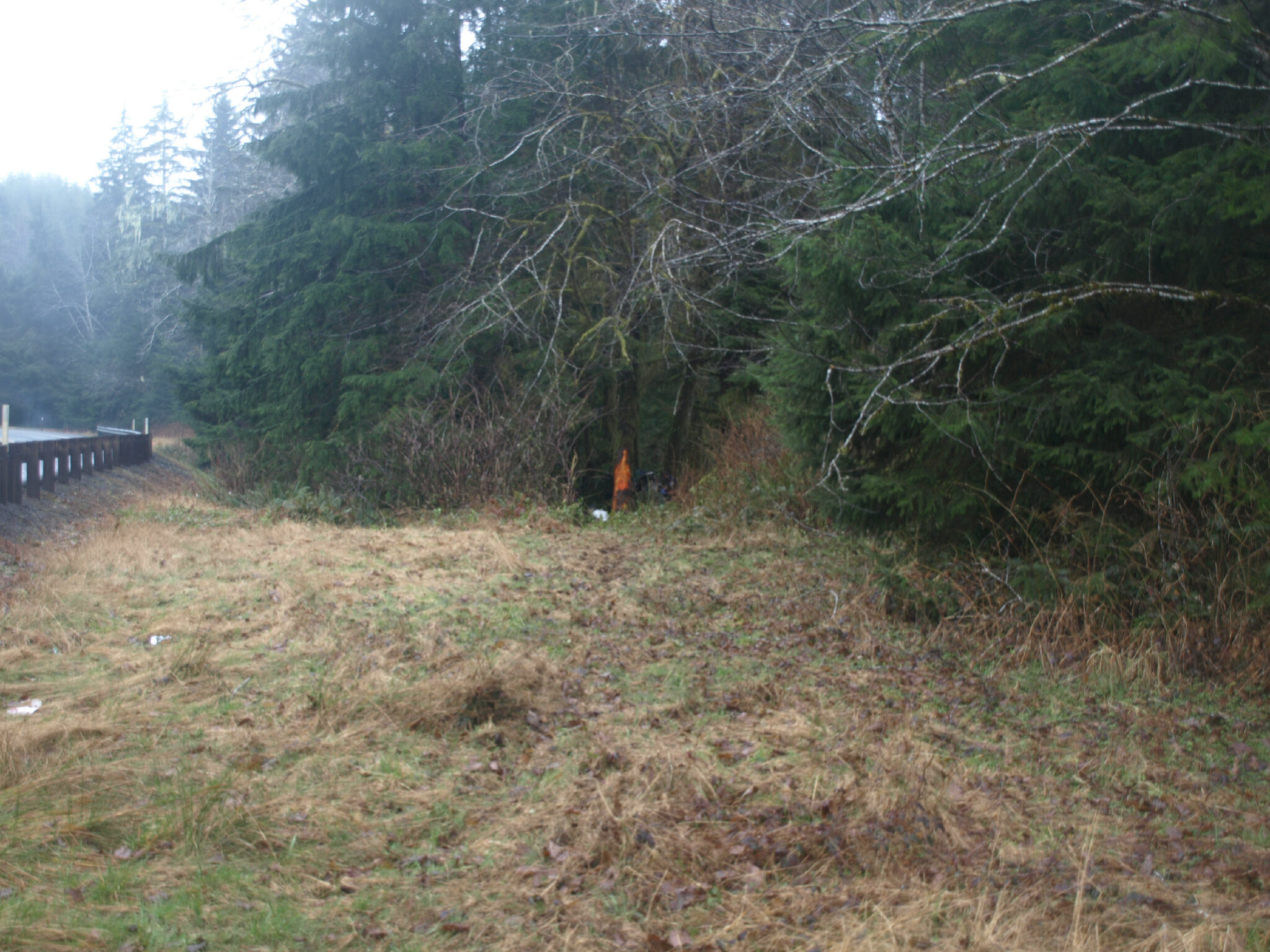 Pacific County Fatal Accident Scene