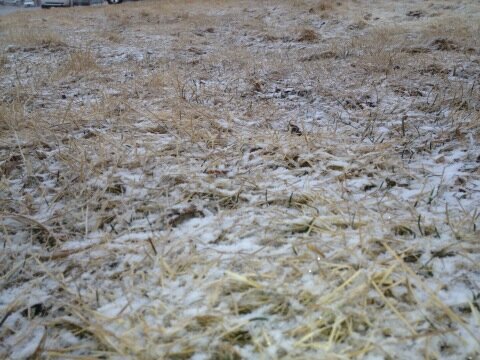jaclynreporting's tweet image. First dusting of #SnowFinally in #Westminster. Latest conditions: thedenverchannel.com/weather