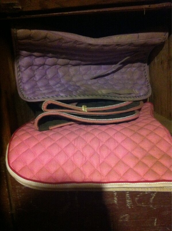 cvsproblems's tweet image. Maddie's box aka storage for everyone who's ever put their pad on the horse when it's being ridden after #cvsproblems