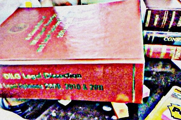 crimsonlawyer's tweet image. What am I having for lunch? #legalopinions #paidtoread #law #jurisprudence #lovinmejob