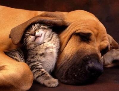 DatingChapter's tweet image. ♥Another Sweet &amp;amp; Lovely photo to show how love transcends across opposites... Enjoy! #Love.♥