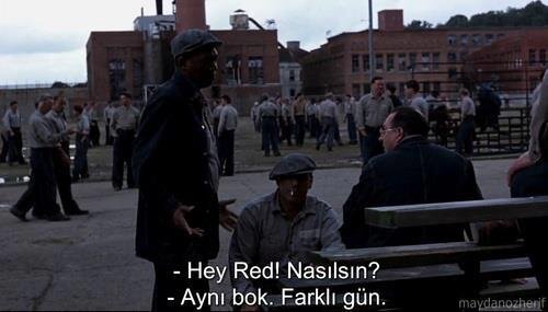 BDnHch5CcAEmnlb.jpg