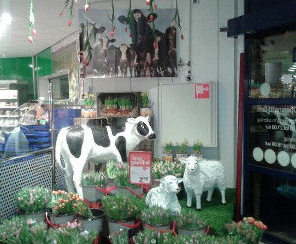 Bij #Deen #Medemblik beginnen we alvast aan de lente!