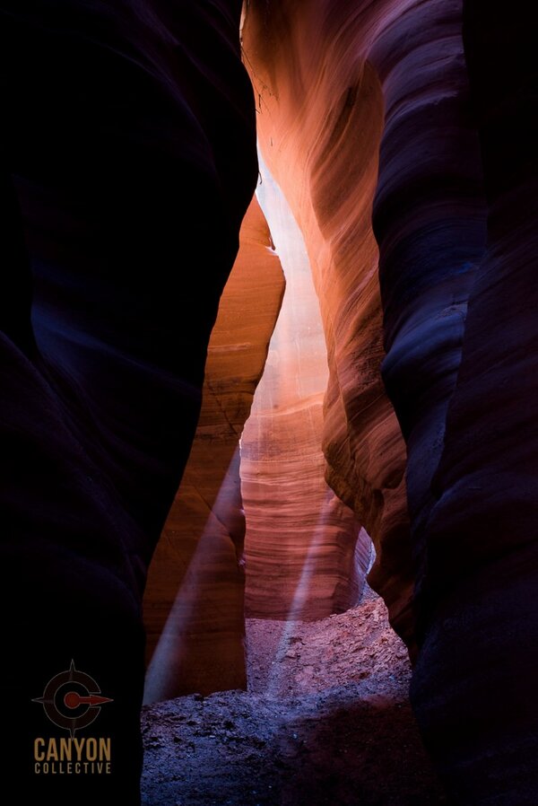 Canyon Collective tweet media