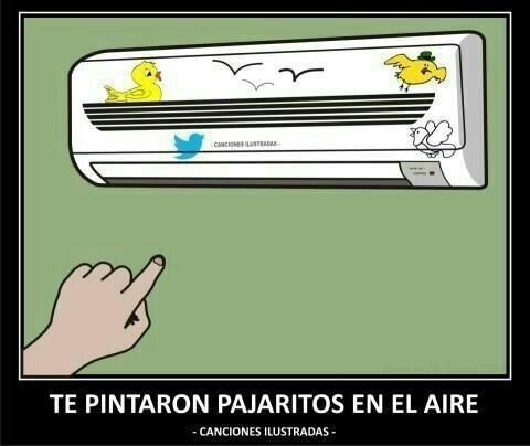 Tomas Patiño tweet media