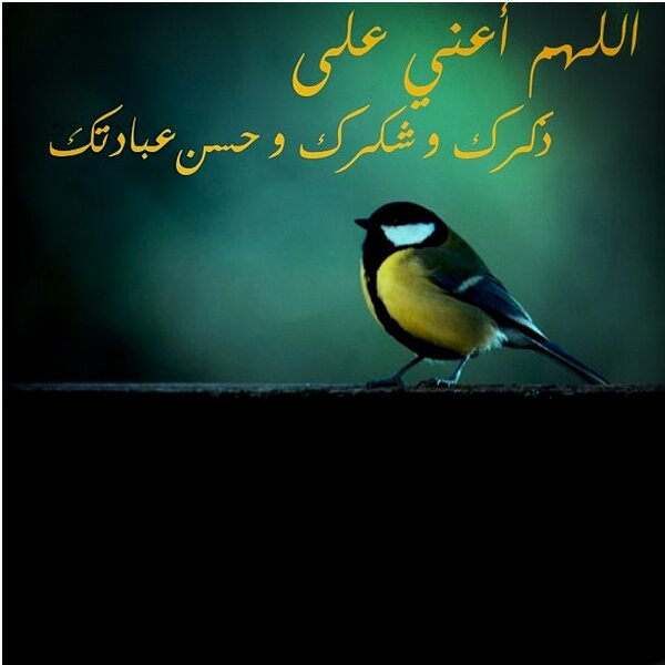 11abdallah11's tweet photo. اللهم اعني على ذكرك http://t.co/w0Sms9b1f8