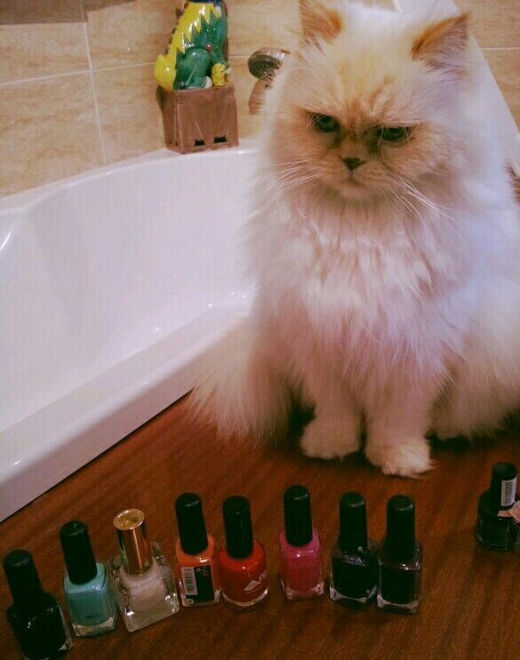 PaulaGalan1's tweet photo. Preparandonos para la manicura ;) http://t.co/vThmIUF1SG