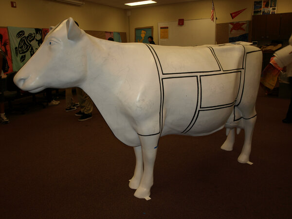 Cowifa tweet picture