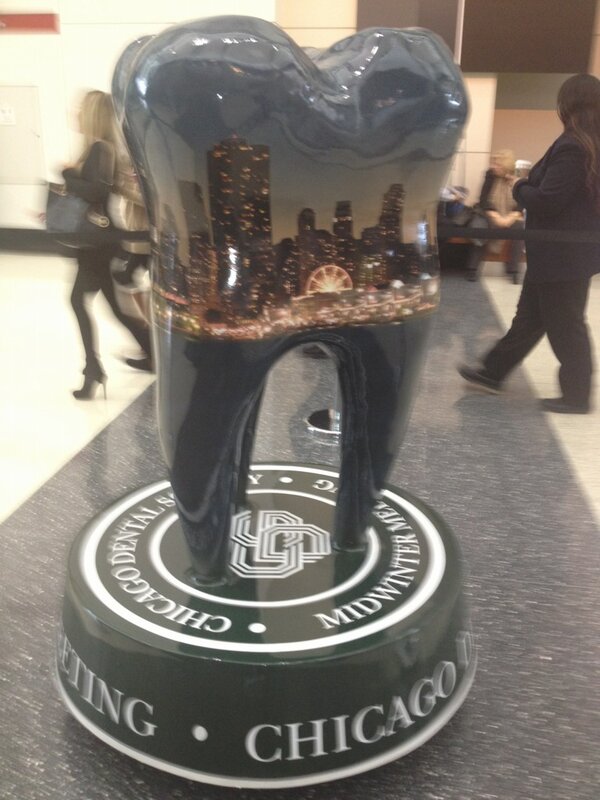 drschefke's tweet image. #CDS13  The 'tooth' and nothing but the 'tooth'