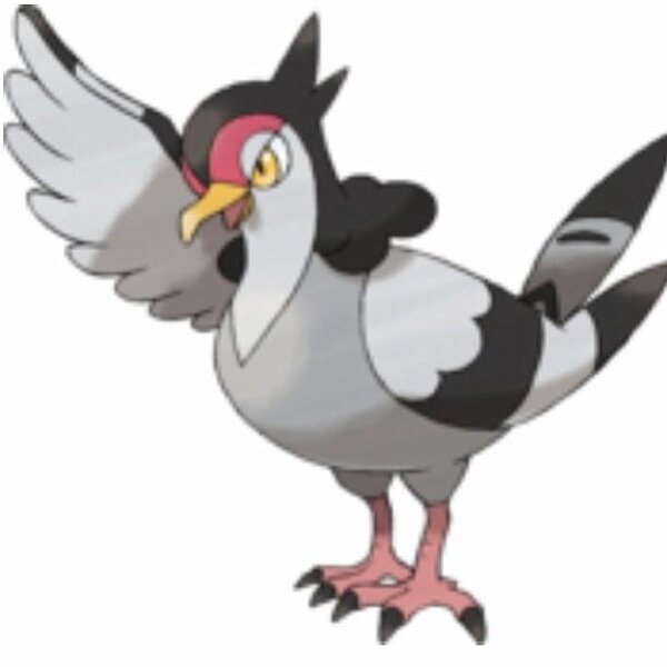firstsomewhere's tweet image. New pokemon!! Pidove evolved!!!!! #happy #2new #pokemon #twonewones #yay #stronger #now #pokemon #tranquil #cool ...