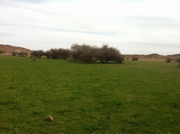 m0m099's tweet photo. فيضة رغووه ... http://t.co/JfTTdrmyRI