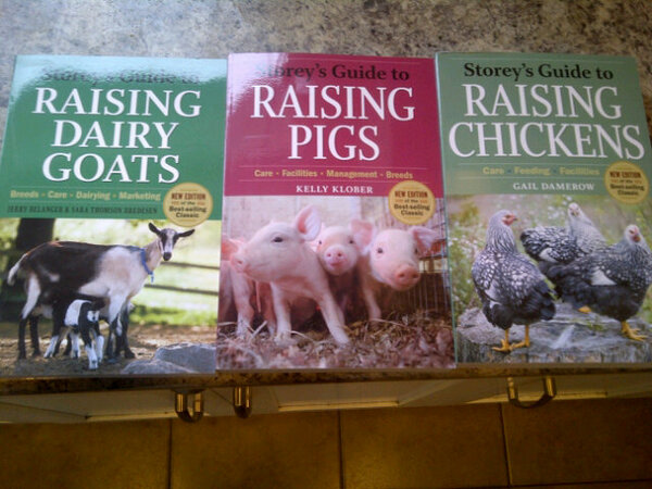 SideroadFarm's tweet photo. Picked up some light farm reading today. How cute are those piggies?? http://t.co/J7gWAa5iNU