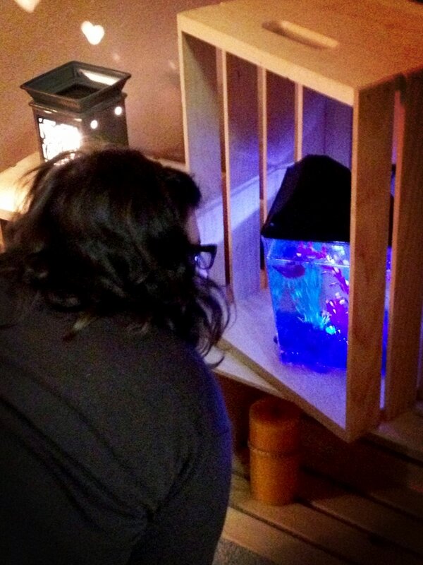 _shelbyphillips's tweet photo. Lauren and Finn having a moment. @laurendeean23 http://t.co/O6dFiHpr9b