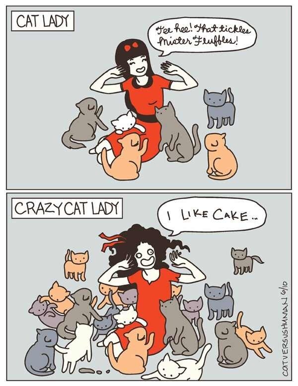 SunnyBaby29's tweet photo. S/O to @sarahrenae709 for being a cat lover! You're purrrrrrrfect 😘 oh &amp; you're the second one 😂 http://t.co/HtwQseJEbN