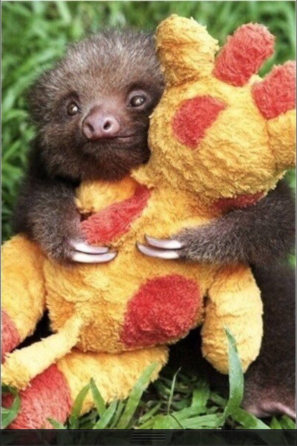 flip4u17's tweet image. Oh. My. Gosh. #heartexplodes