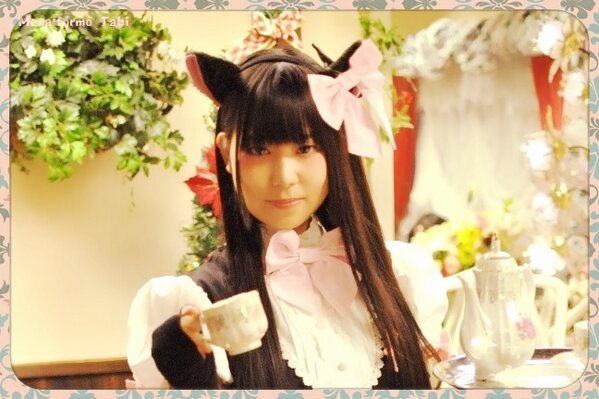 Mena Formo 今日は猫の日 定期告知 Mena Formo 13年3月2日 土 １０時 ２１時半 秋葉原トリオンプ様にて開催 ももこ お星さま なでしこ たび 椿 なつめ すみれ りんご うりがお待ちしております Menaformo Http T Co Yjmqaognuk