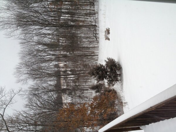 Home for snow day #2. I'm okay with it!