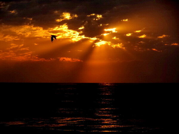 Paisajes_Es's tweet photo. Playa de San Juan, Alicante. http://t.co/H4ZXPbkUcL