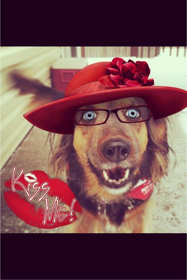 fido_FOTO's tweet photo. It's Friday - let's pawty! http://t.co/h96TSRYWh2