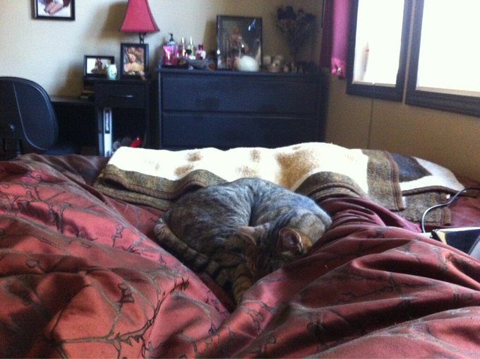 Watch Jǝѕѕica's leaked NSFW photo on TwXstars