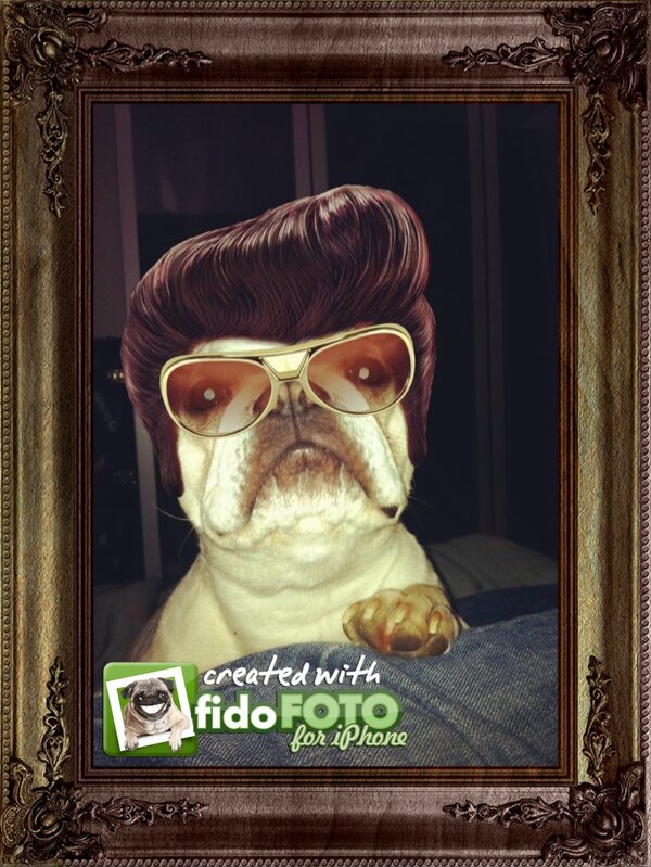 fido_FOTO's tweet photo. @8bitApparel Thank you for the follow - thankyouverymuch! http://t.co/x06a9STh7X