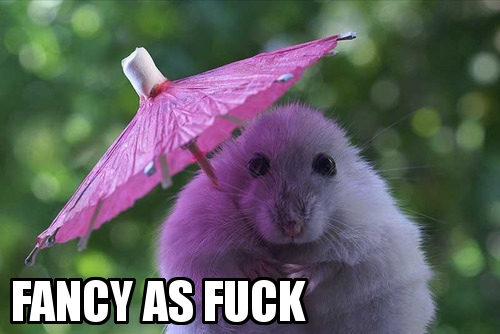 theCHIVE's tweet photo. Alright, it's finally the weekend! Stay classy, everybody. Be this guy tonight: http://t.co/fy6oz3zOV4
