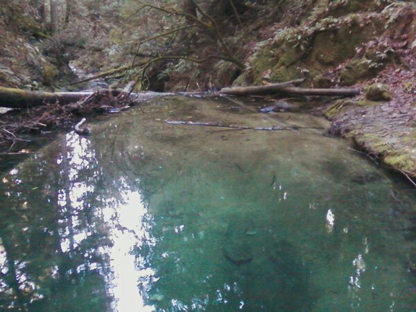 kayladlopez's tweet image. Want to hike to a swimming hole and waterfall and be back in an hour?yes. #spontaneousmoments