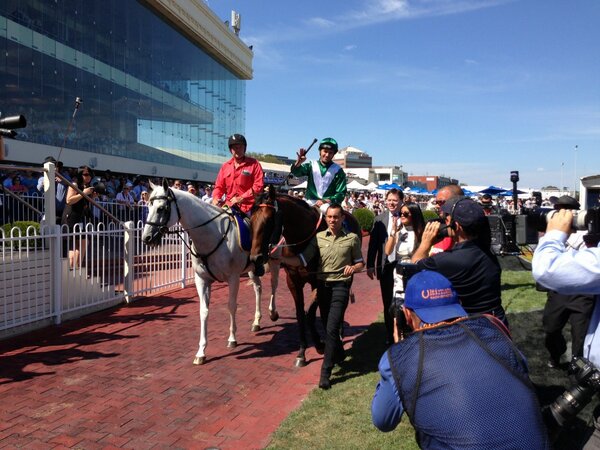 AllTooHard's tweet photo. Back in the mounting yard after the Futurity http://t.co/MRzzT5XFDJ