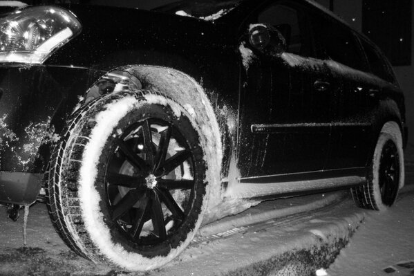 MB OSSO SERVICE tweet media