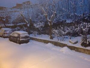 La Llacuna (615m) a les 7:30. Gruixos de fins a 5cm de #neu. Temperatura actual -0,3ºC #meteocat #xom #neucat