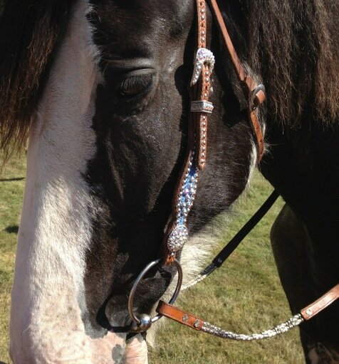 carrie_ell's tweet photo. Big and Beautiful...#summerlove http://t.co/ysP6240L5t