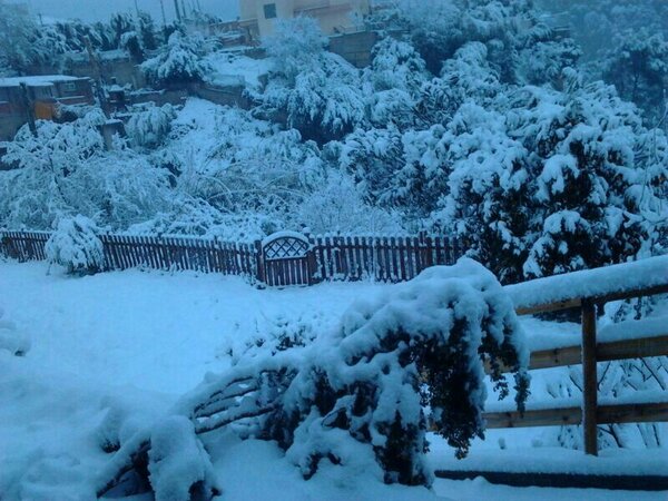 ToniToroFu's tweet image. Por aquí nieva