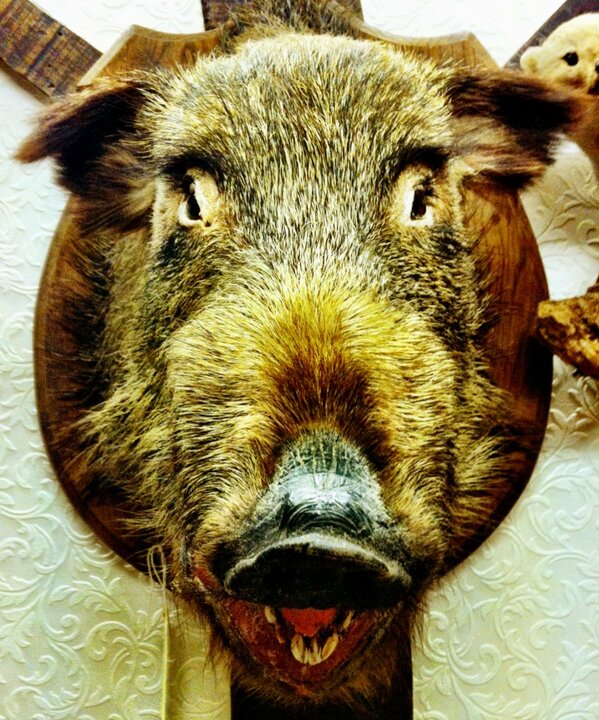 gunnergav89's tweet image. Good morning beautiful.
#VeryRandom