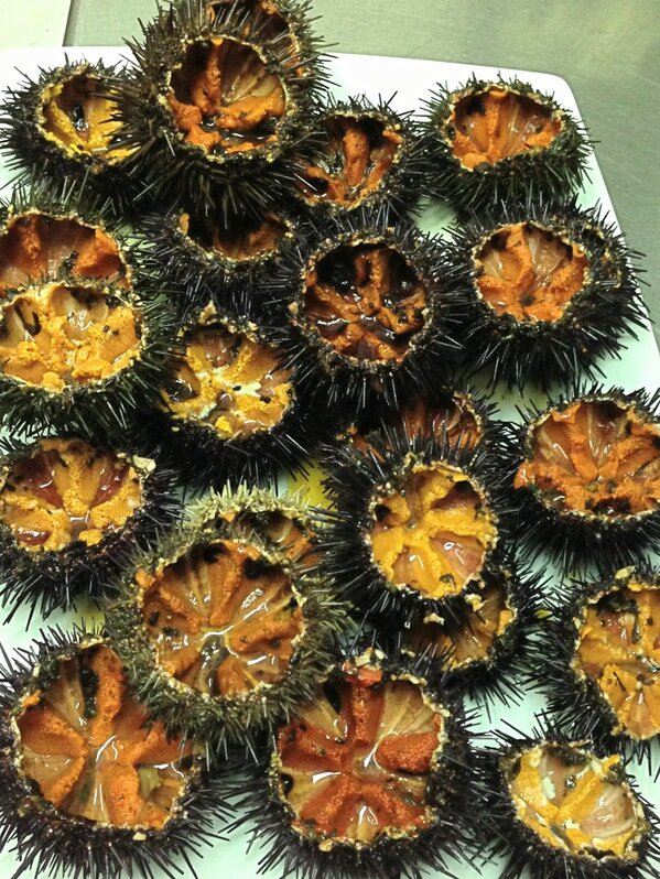 BUS_BAR's tweet photo. BUSeges? http://t.co/6MROijwnez