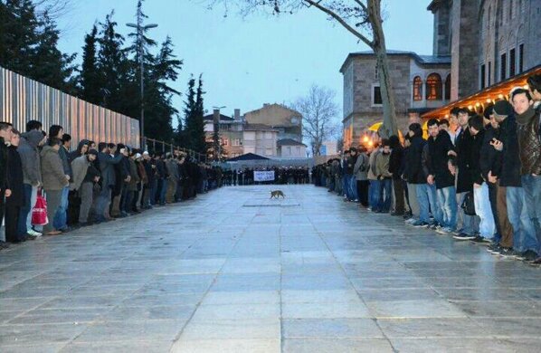 Gömülü resim için kalıcı bağlantı