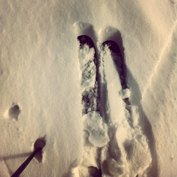 Helt ok pudderføre;) #lykke