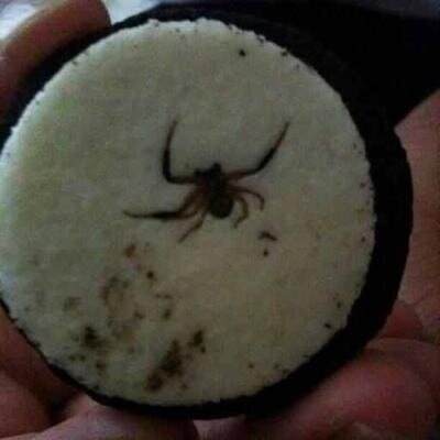O M G! ewwww! RT @doronofircast: Always check your @Oreo's before eating, never know what's inside. |<a class="tags" target="_blank" title="On Twitter" href="/?out=eyJ0eXAiOiJKV1QiLCJhbGciOiJIUzUxMiJ9.eyJpYXQiOjE3MjU2Mjg5MDMsImlzcyI6InR3cG9ybnN0YXJzLmNvbSIsIm5iZiI6MTcyNTYyODkwMywiZXhwIjoxNzU3MTY0OTAzLCJyZWRpcmVjdF91cmwiOiJodHRwczovL3R3aXR0ZXIuY29tL2Rvcm9ub2ZpcmNhc3QifQ.qFaSZDXEwTDSYPtcfBycMcEvZQXsqfm5BGfXPUGIWvnxcdTSQcxXltmU4VAKFqk3u_Tb08X6lCX4GdzZnT8o2Q">@doronofircast</a><a href="/tag/sdcc"class="tags"><span>#sdcc</span></a>
