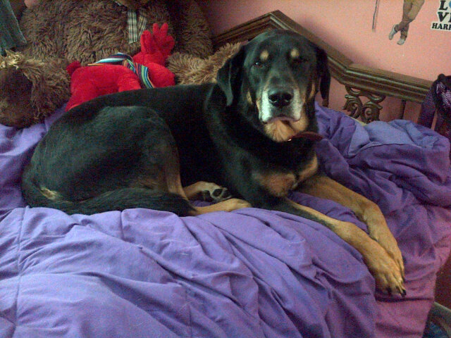 Embedded image permalink