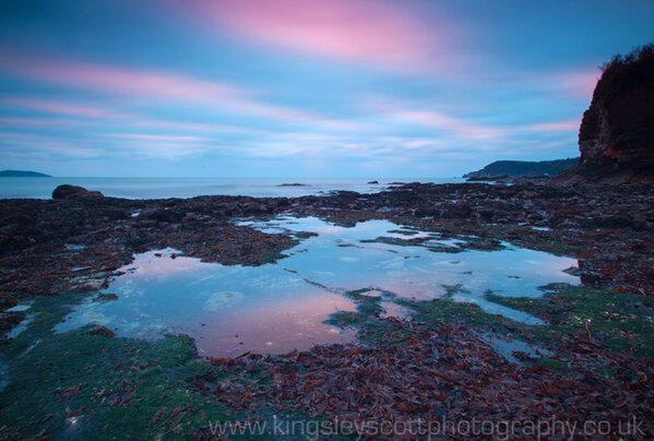 Kingsley Scott tweet media