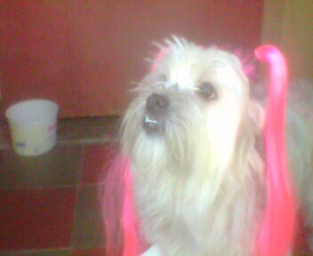 RubyEscobar6 tweet picture