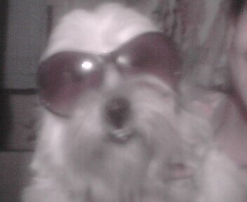 RubyEscobar6 tweet picture