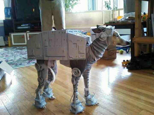 DanXJ's tweet photo. “@nicepeter: best costume ever? http://t.co/u44Crq23iH” @Jill_McKay