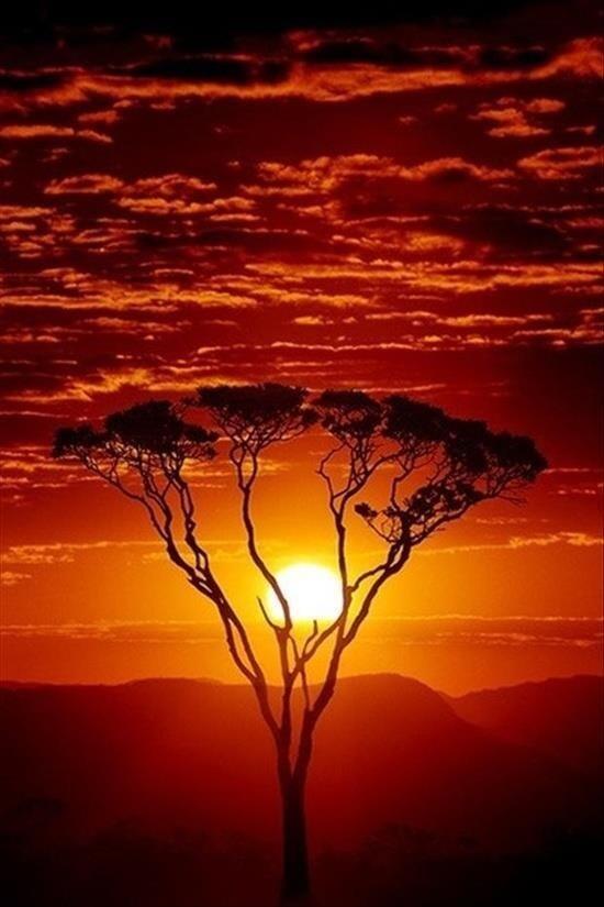 PicsKSA's tweet photo. لحظة غروب 🌞 http://t.co/7CBZ7DoJLs