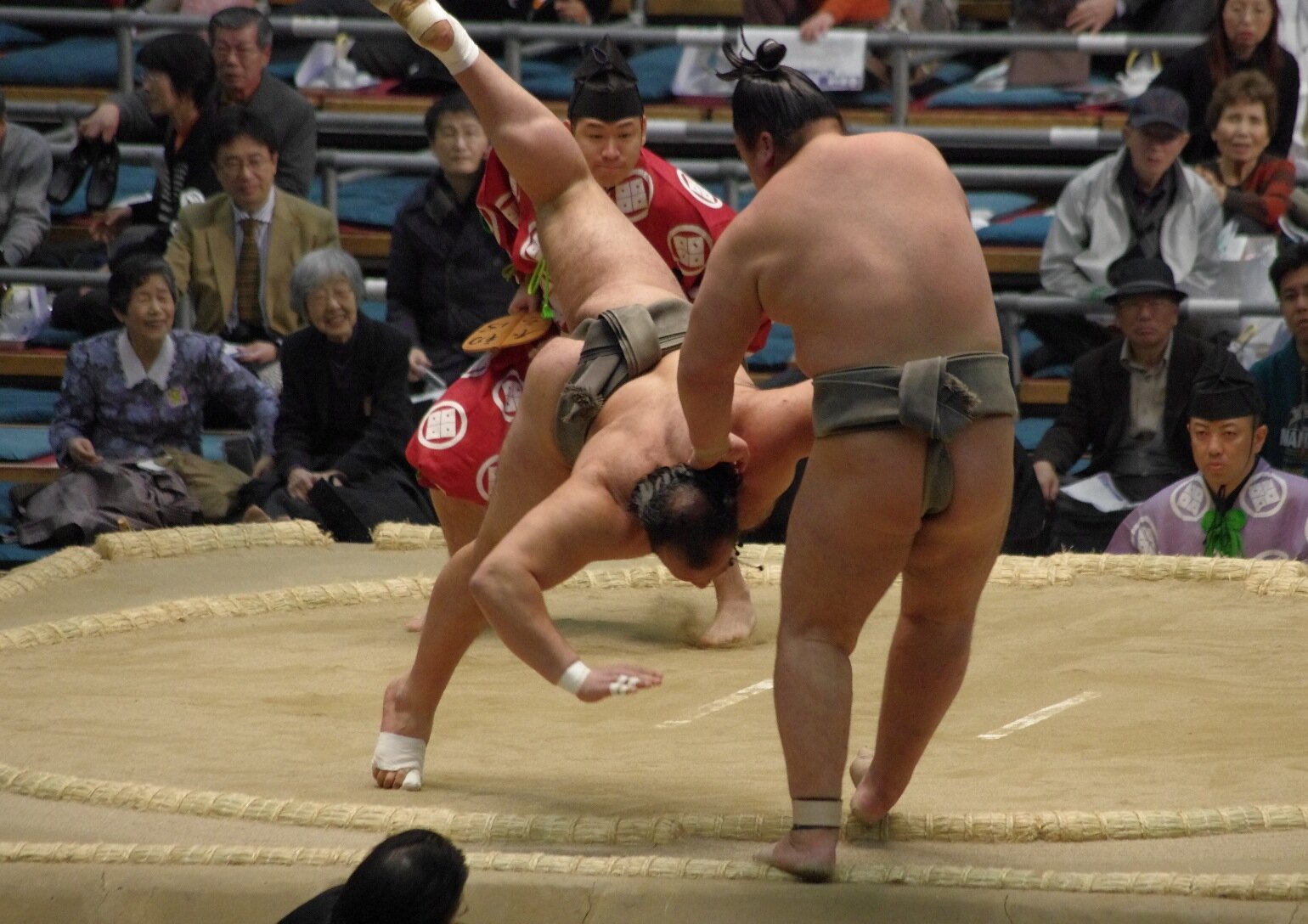 日本相撲協会公式 on X: 