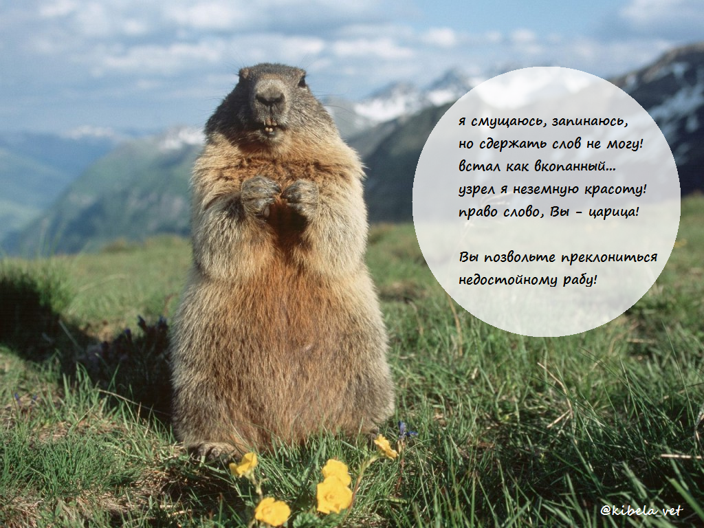 BE04jCLCEAA8T4X.png:large