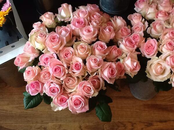 EllieBFlowers's tweet photo. Glorious Pink Sorbet! X http://t.co/Pb6fj82HwY